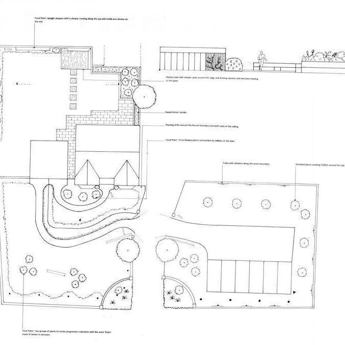 Hand drawn garden design with plant recommendations