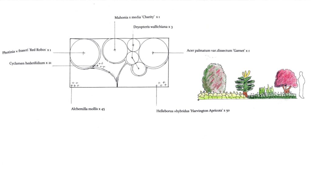 Planting scheme layout with plant recommendations
