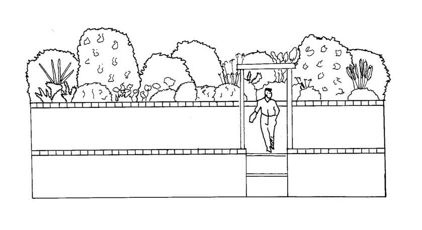 Handdrawn image showing a figure in a garden with planting ideas ( black and white)